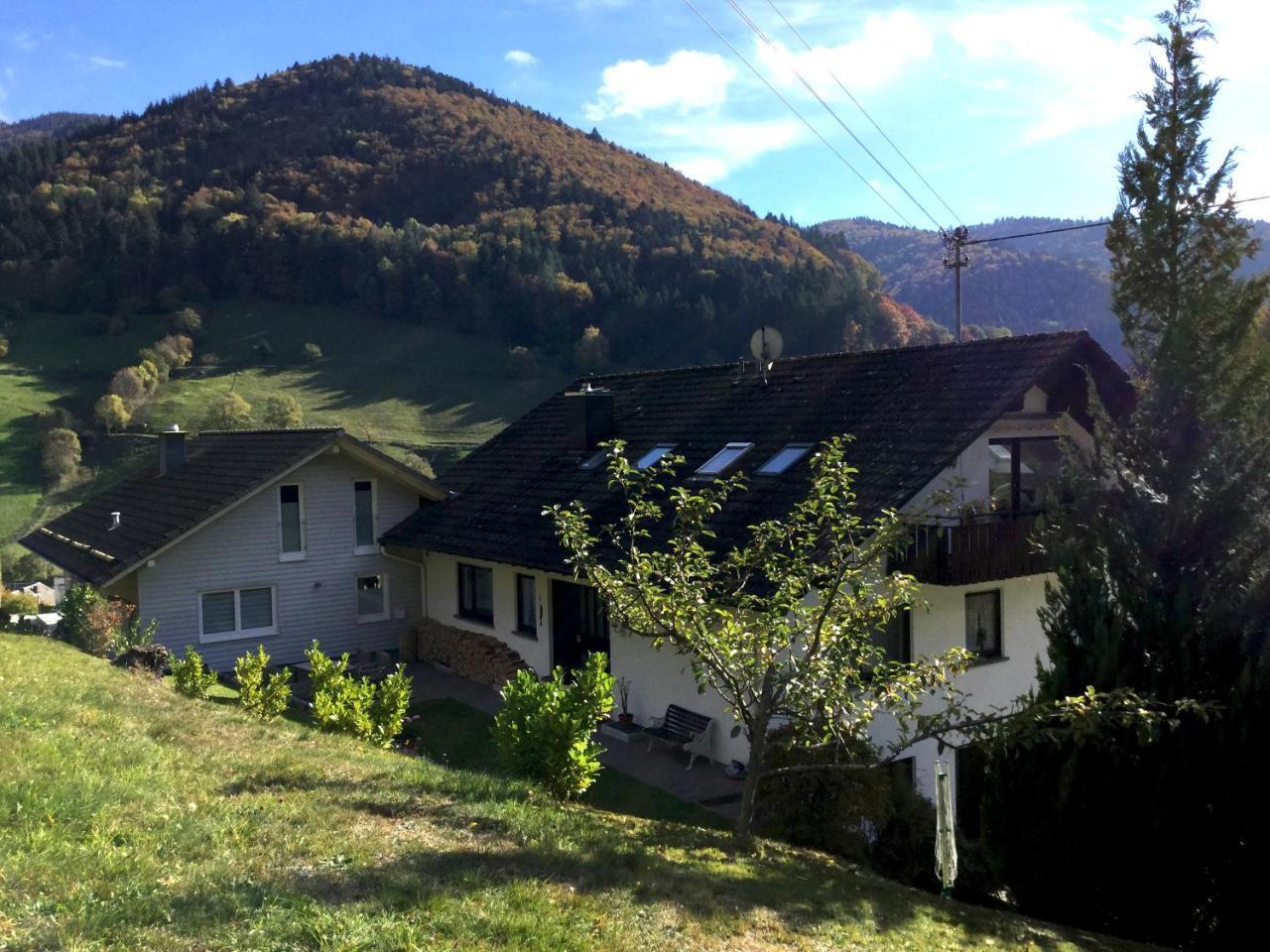 ミュンスタータールErikas Hausアパートメント エクステリア 写真