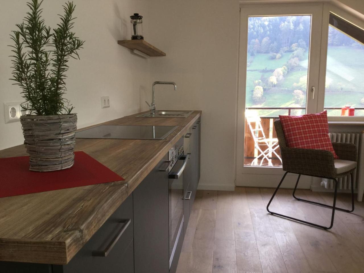 ミュンスタータールErikas Hausアパートメント エクステリア 写真