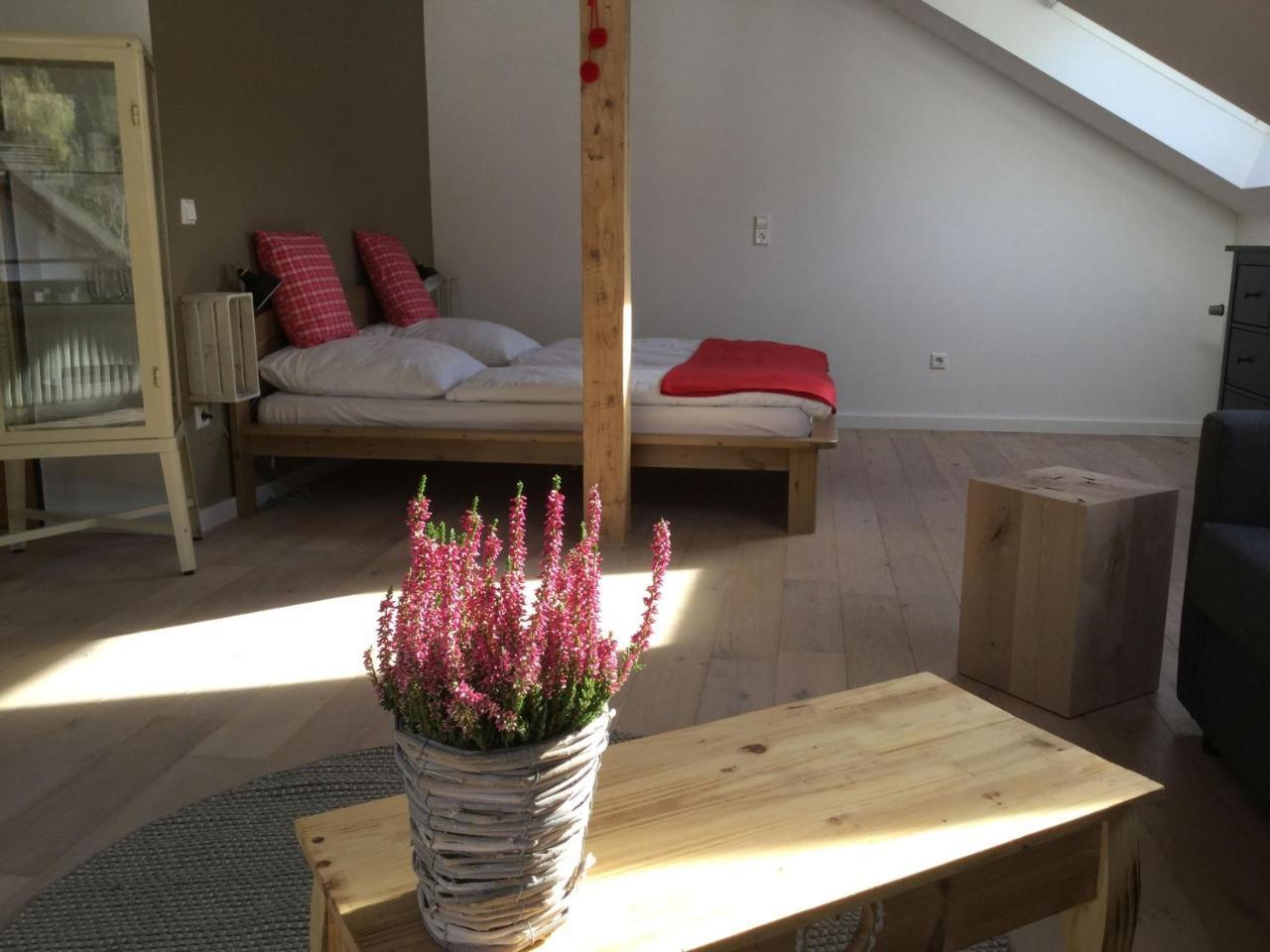 ミュンスタータールErikas Hausアパートメント エクステリア 写真